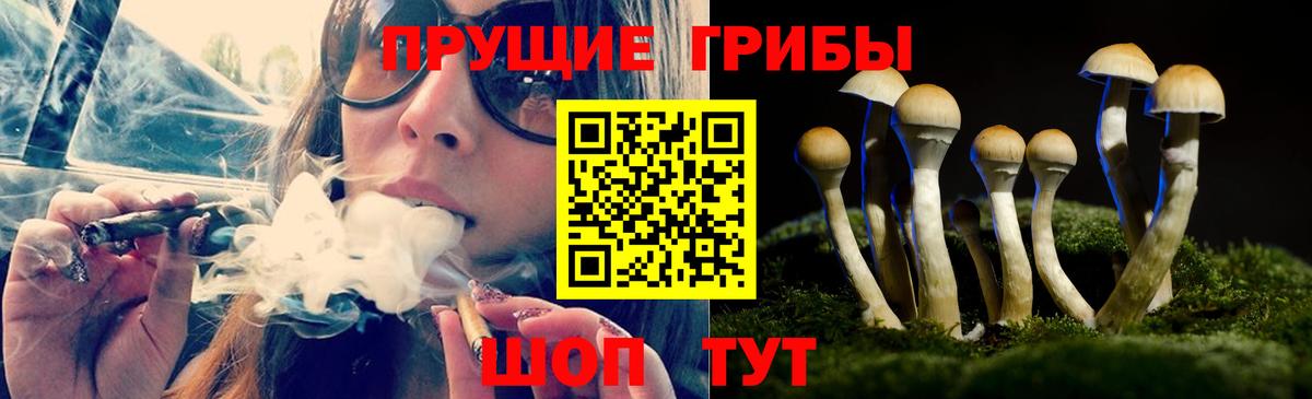 купить закладку  Псилоцибиновые грибы MAGIC MUSHROOMS  Вход с VPN  Карталы 